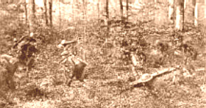 Advancing in the Argonne Forest